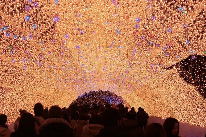 Nagoya : Private Nabana no Sato Tour : Illuminations & Shopping - Quick hits before you go