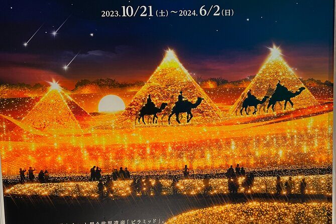 Nagoya : Private Nabana no Sato Tour : Illuminations & Shopping - Nabana no Sato illuminations: the garden that turns into a light show