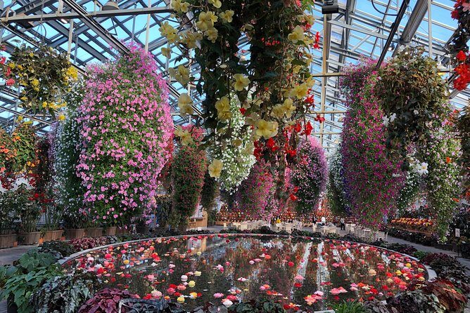 Nagoya : Private Nabana no Sato Tour : Illuminations & Shopping - Who should book this Nabana + outlet private tour?