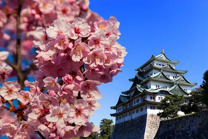 Nagoya Private Tour with a Local: Highlights & Hidden Gems - Getting Started at Nagoya Station: Easy Meeting, Low Stress