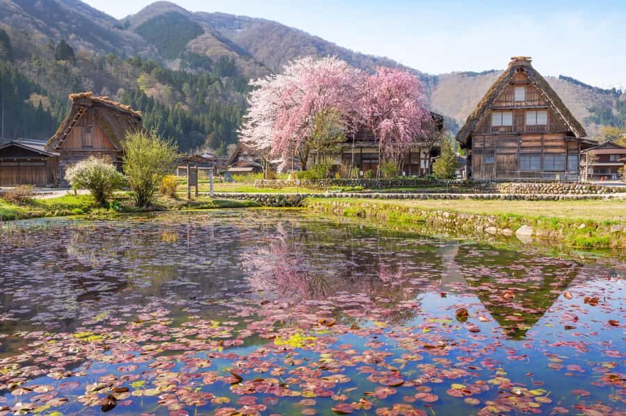 Nagoya: Shirakawa-go, Gujo, Hida Takayama Historic Day Tour - Shirakawa-go: gassho village with a four-season photo strategy