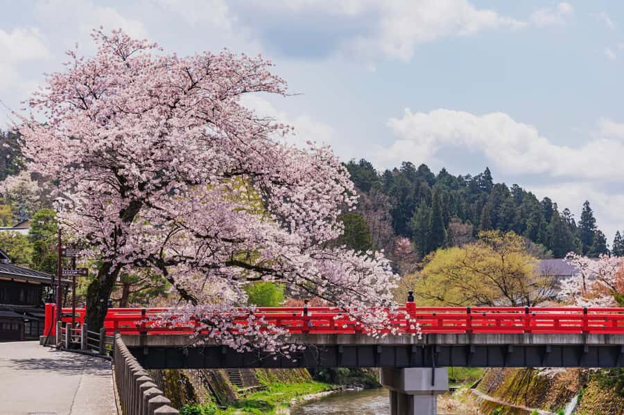 Nagoya: Shirakawa-go, Gujo, Hida Takayama Historic Day Tour - Food and money: what’s included vs. what you’ll handle on your own
