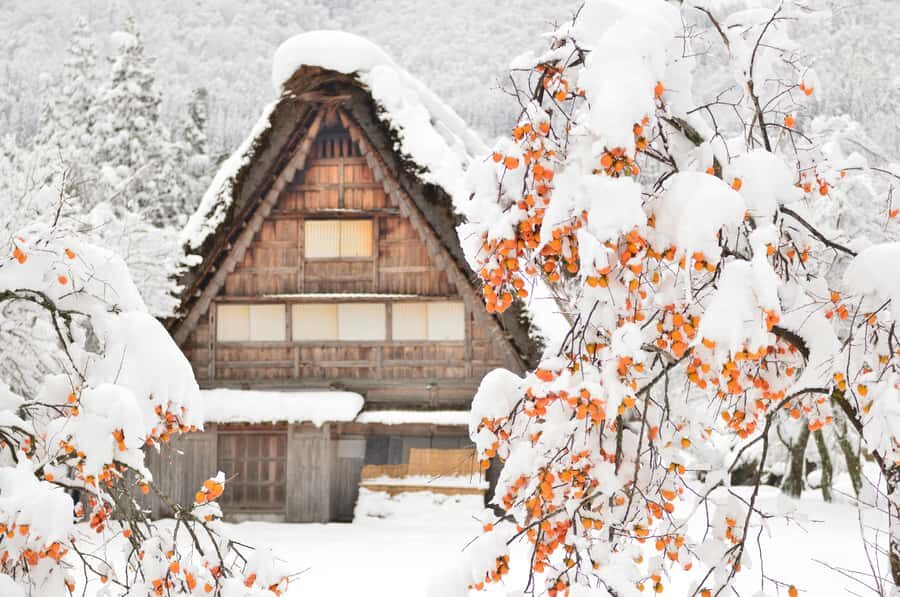 Nagoya: Shirakawa-go, Gujo, Hida Takayama Historic Day Tour - Gujo Hachiman: a historic-feeling town with different faces by season
