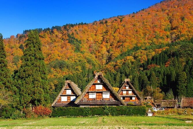 Nagoya to Hida Takayama, Shirakawa-go Gassho Village Day Tour - Takayama first: old merchant streets and a real stroll window