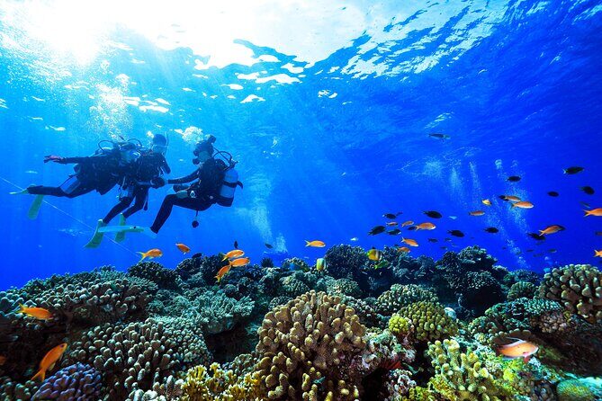 Naha: Full-Day Introductory diving & Snorkeling in the Kerama Islands, Okinawa - Snorkeling After Scuba: Free Extra Time Around the Reef