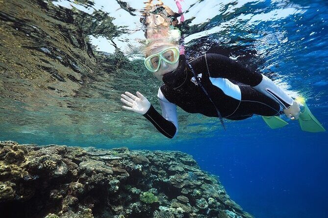Naha: Full-Day Snorkeling Experience in the Kerama Islands, Okinawa - Photos underwater: why it’s worth paying attention to this part