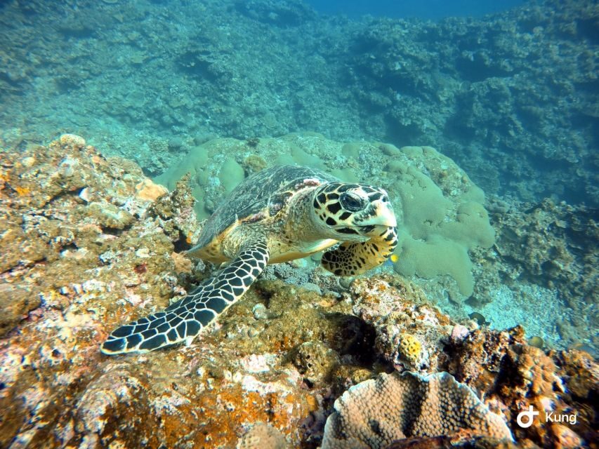 Naha, Okinawa: Kerama Islands Full-Day Intro-Diving Trip - After your session: photos, showers, and getting back to Naha