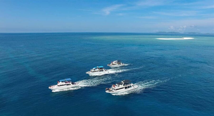 Naha, Okinawa: Kerama Islands Half-Day Whale Watching Tour - Should you book the Kerama Islands half-day whale watch from Naha?