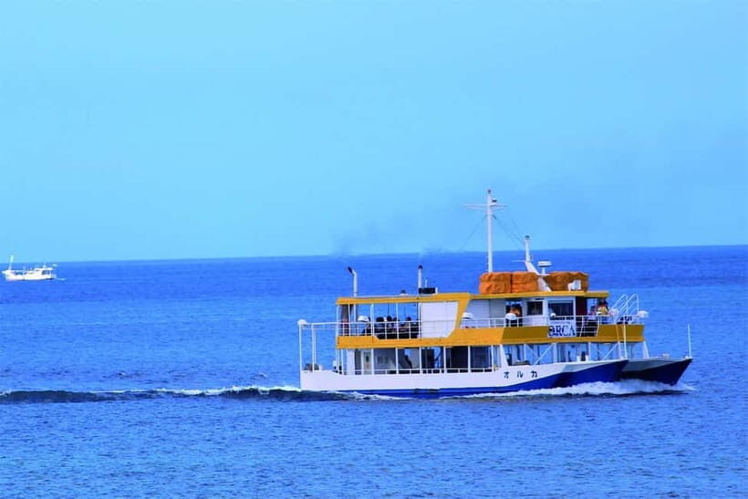 Naha: "Orca" Spotting Glass Bottom Boat & Sam’s Famous Steak - Who this tour suits best (and who should be cautious)