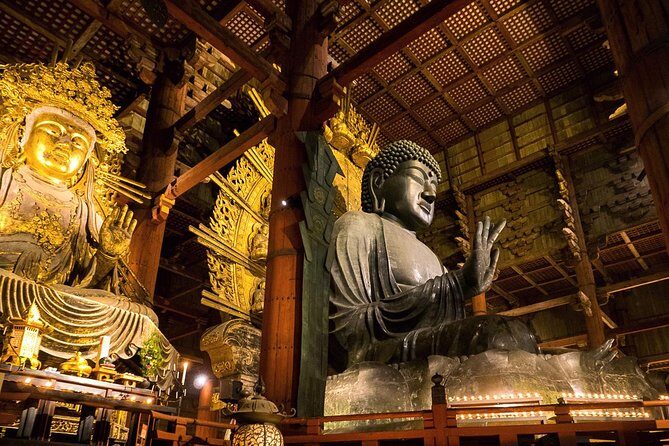 Nara 8hr Private Tour - Kyoto DEP. with Licensed Guide - Horyu-ji and the oldest-stuff mindset