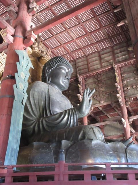 NARA: Budda gigante, Cervi liberi nel parco (Guida italiana) - A half-day Nara plan that starts and ends at Kyoto Station