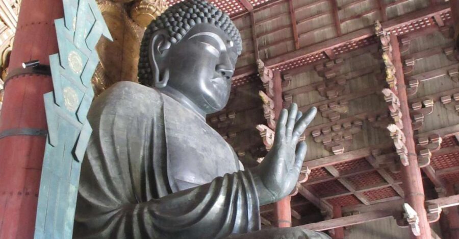 NARA: Budda gigante, Cervi liberi nel parco (Guida italiana) - Why the Italian Kyoto guide is the real value