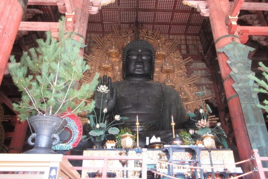 NARA: Budda gigante, Cervi liberi nel parco (Guida italiana) - Small group pacing: the difference between a bus tour and a real visit