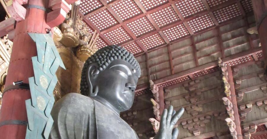 NARA: Budda gigante, Cervi liberi nel parco (Guida italiana) - Train, bus, and timing: how the 5 hours actually work