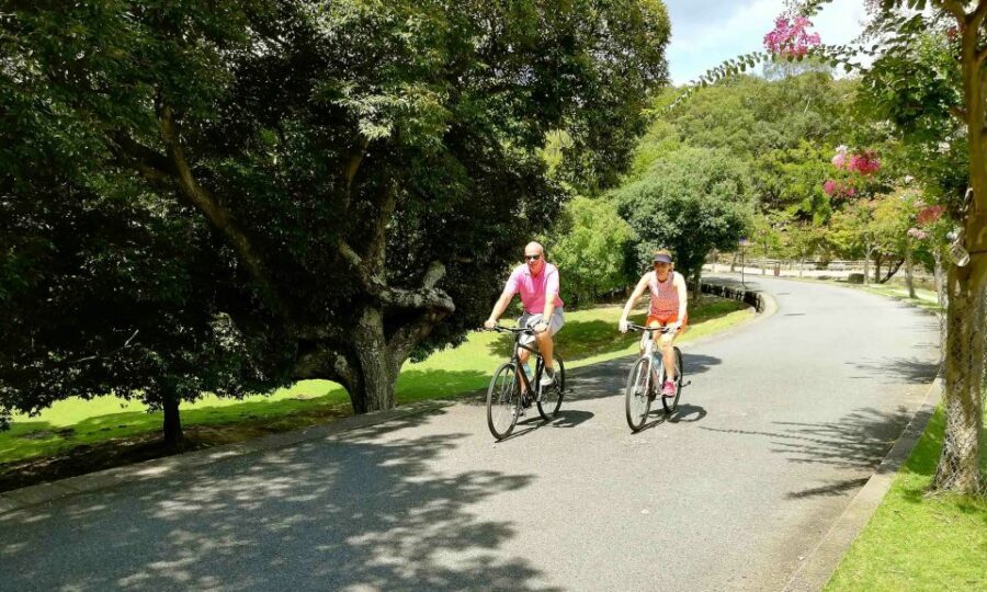 Nara: City Highlights Shared Group or Private Bike Tour - Weather and Cancellations: Rain Odds Can Change Everything