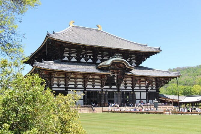 Nara Day Trip from Osaka with a Licensed Guide - What You’re Paying for With a $319 Private Guided Day