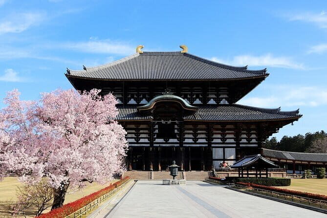 Nara Day Trip from Osaka with a Licensed Guide - Todai-ji Nandai Gate: A 25-Meter Wow Moment