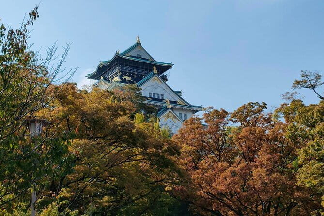 Nara Deer Park, Uji Matcha, & Hot Spring Full-Day Tour from Osaka - Price and Logistics: Is $49.84 Worth It?