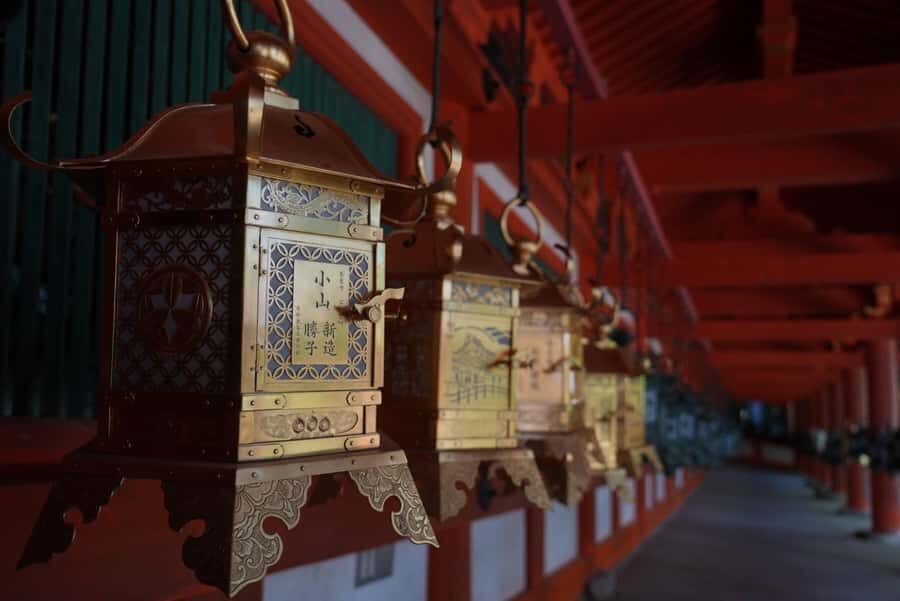 Nara Early Bird Tour (Kyoto Departure Option Available) - Key highlights that make this tour work