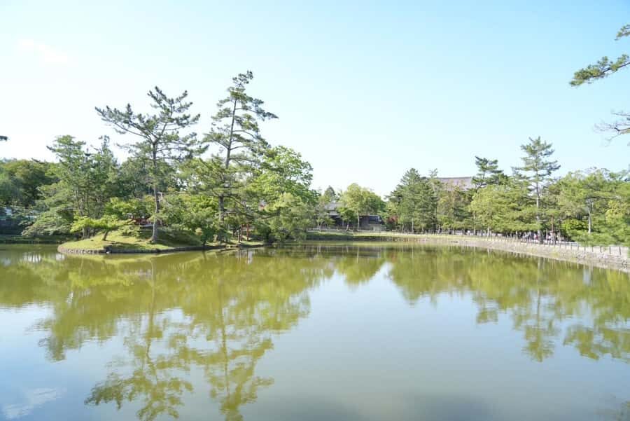 Nara Early Bird Tour (Kyoto Departure Option Available) - Kofuku-ji: a strong first temple hit before the noise
