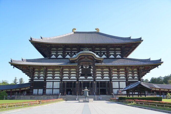 Nara Early Morning Tour (Kyoto or Osaka Departure Available) - Stop 2: Kasuga Grand Shrine lanterns at the right hour