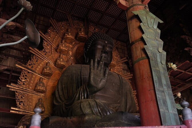 Nara Early Morning Tour (Osaka Departure Option) - Why Nara feels calmer before noon