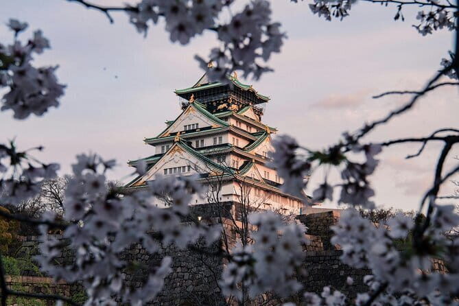 Nara Early Morning Tour (Osaka Departure Option) - What the guides are like, and why it matters on a walking day