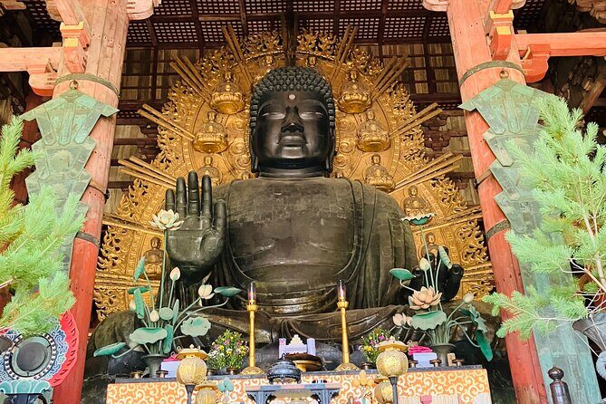 Nara: Essential Private Tour with Deer Park and Temples - Key highlights worth your time