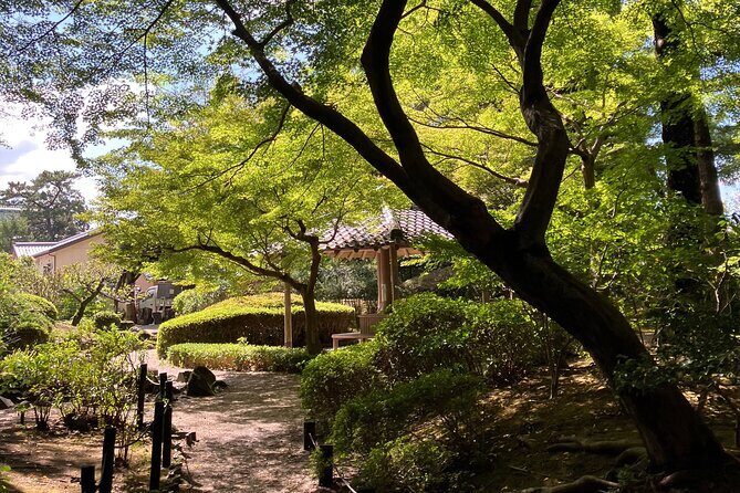 Nara: Essential Private Tour with Deer Park and Temples - Price and Value: What $127.55 Per Person Really Buys