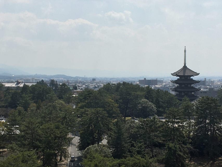 Nara: Full-Day Private Guided Tour - Todaiji: how to appreciate the Great Buddha hall without getting lost