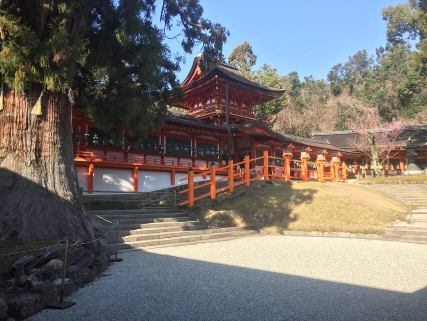 Nara: Full-Day Private Guided Tour - Naramachi old town: Edo-period architecture on foot