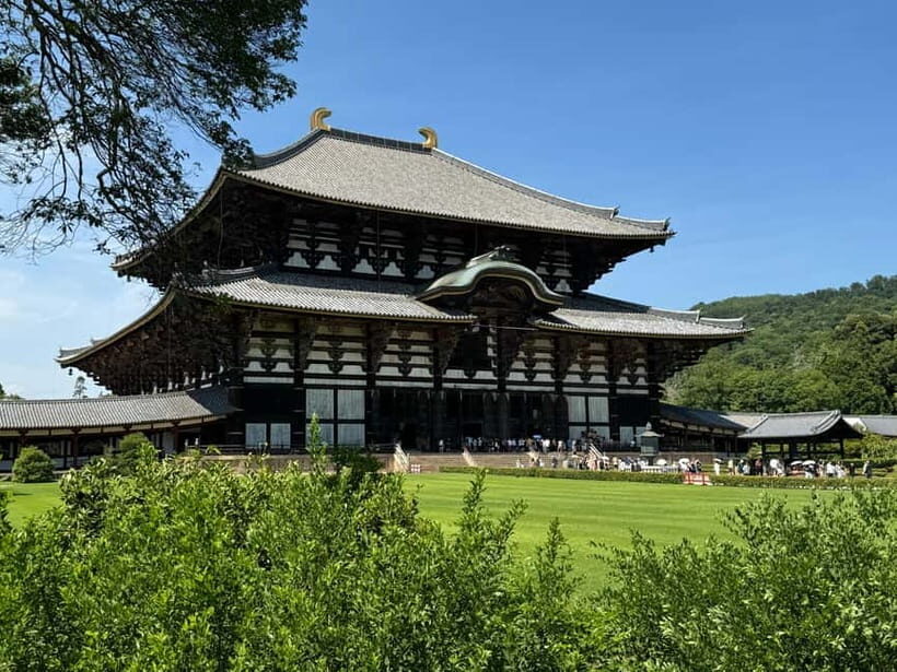 Nara: Great Buddha, Kasuga Shrine & Deer Park Tour - Price and Value: Why $77 Can Feel Fair Here