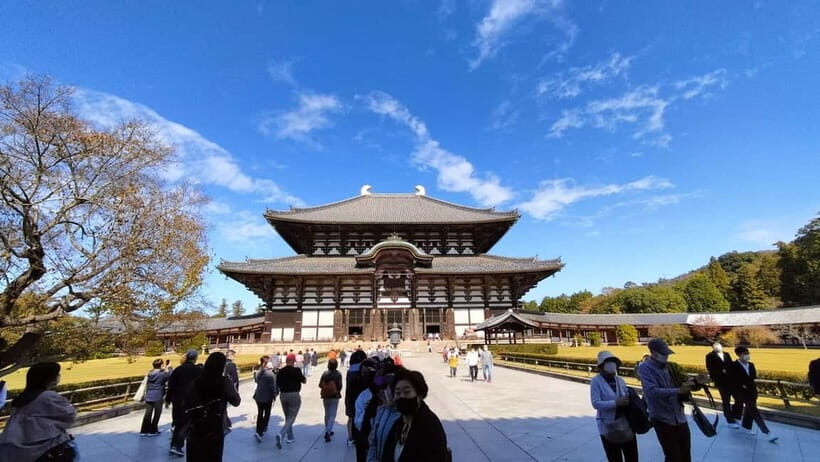 Nara: Great Buddha, Kasuga Shrine & Deer Park Tour - Should You Book This Nara Great Buddha, Kasuga Shrine & Deer Park Tour?