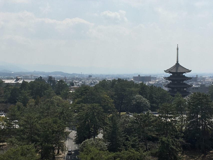 Nara: Half-Day Private Guided Tour - Key Points Before You Go