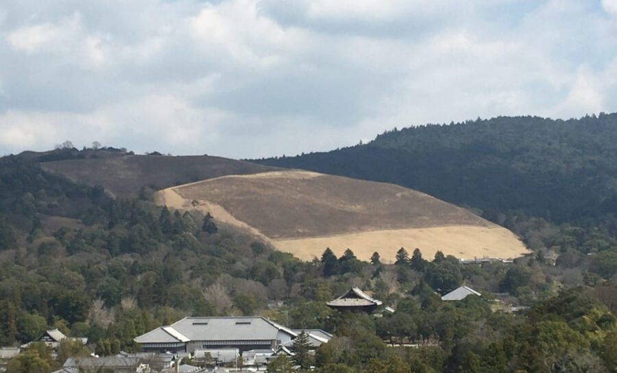 Nara: Half-Day Private Guided Tour - Why Nara in 4 Hours Works (Even If You’re Short on Time)