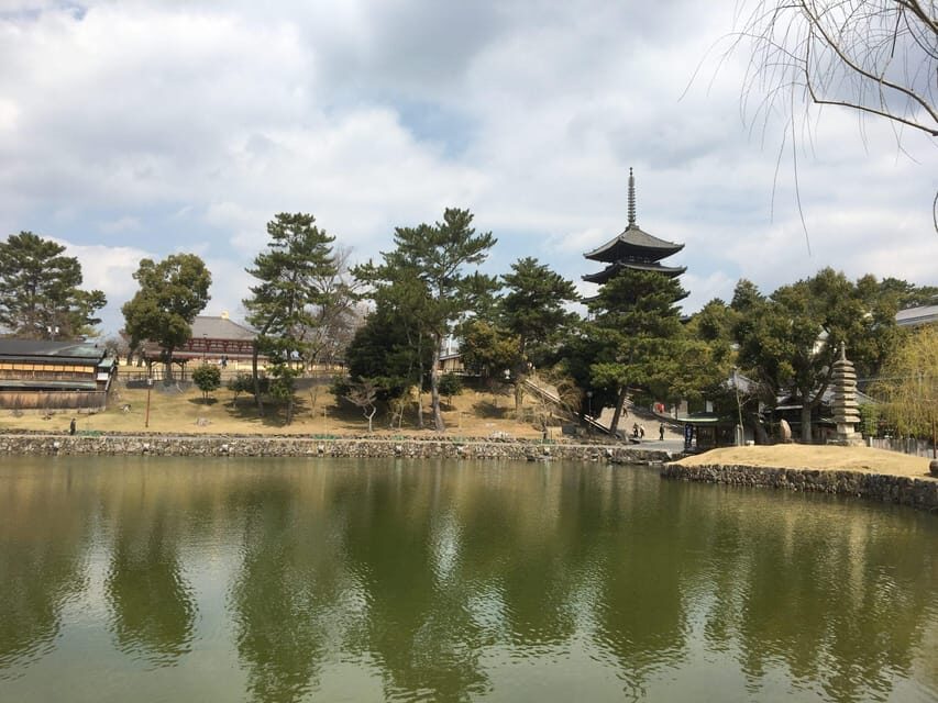 Nara: Half-Day Private Guided Tour - Nara Park and Shika Deer: Where the Day Gets Fun