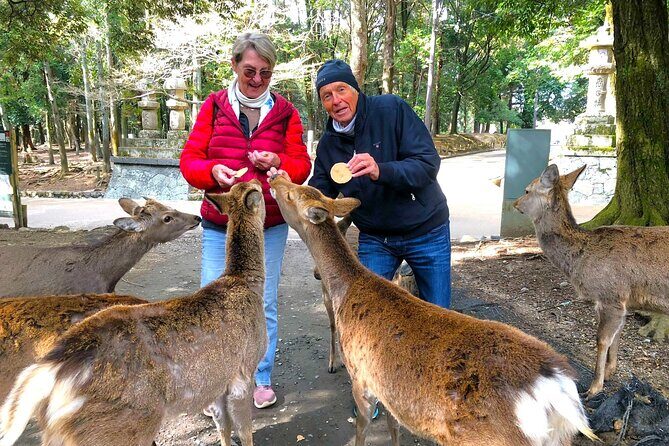 Nara: Half-Day Private Tour of 4 Must-See Spots & Deer Park - A Half-Day Nara Game Plan That Doesn’t Waste Time