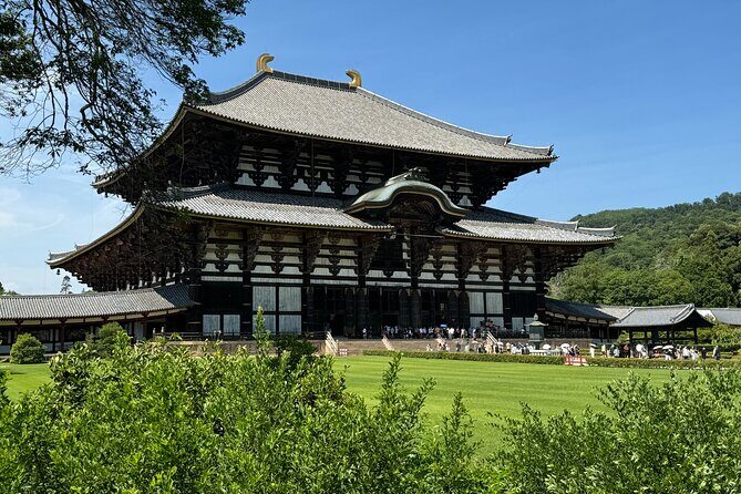 Nara: Half-Day Private Tour of 4 Must-See Spots & Deer Park - Nara Park Deer: Cracker Time and Respectful Interaction
