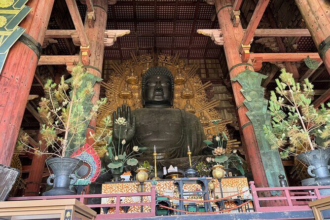 Nara: Half-Day Private Tour of 4 Must-See Spots & Deer Park - Price and Logistics: Is $221.52 a Good Deal?