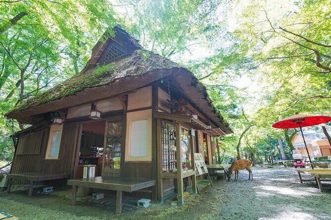 Nara Half Day Trip Walking Tour (Private Option Available) - Naramachi old-town lanes and Nigiwai no Ie