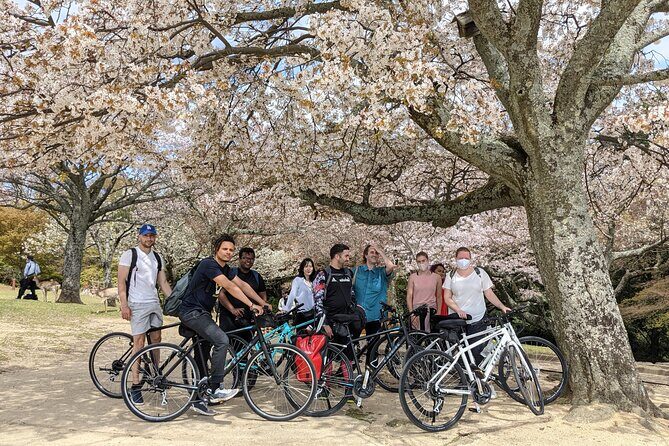 Nara - Heart of Nature Cross Bike Tour - Key Points That Matter Before You Pedal Off