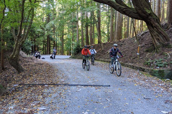 Nara - Heart of Nature Cross Bike Tour - Kyofukuji and the Forest Takeover Feeling at Kasugayama