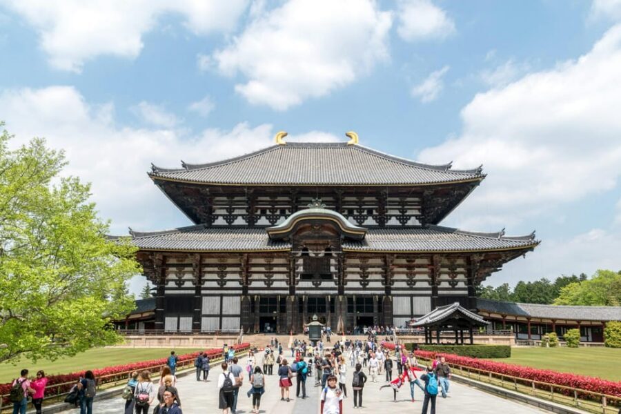 Nara Heritage Walkabout from Nara Park to Todaji-ji temple - Key highlights you’ll actually feel