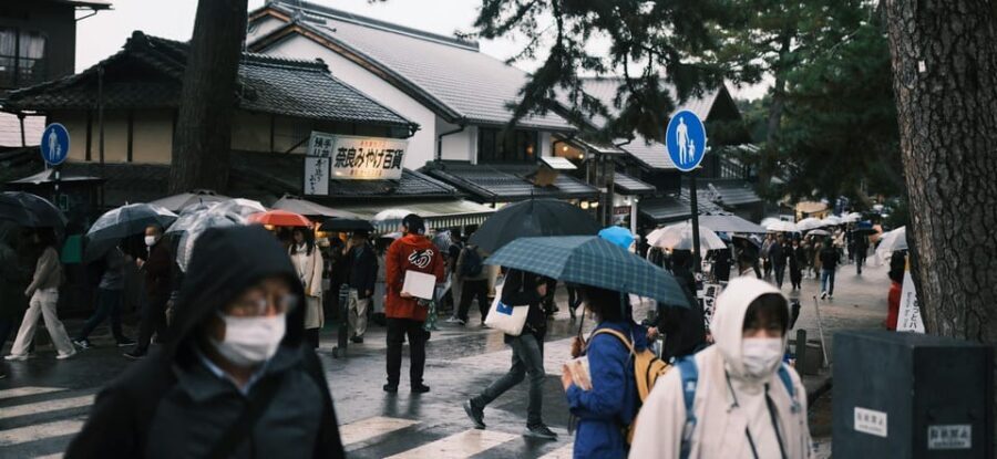 Nara Heritage Walkabout from Nara Park to Todaji-ji temple - Price and value: what $102 is buying you
