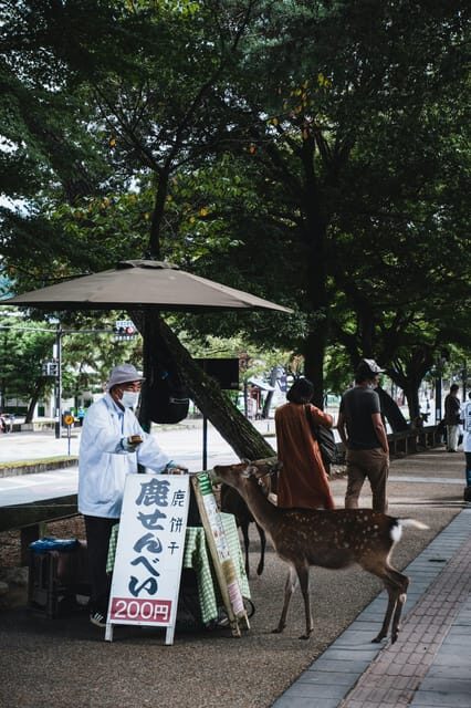 Nara Heritage Walkabout from Nara Park to Todaji-ji temple - Should you book the Nara Heritage Walkabout from Nara Park to Todaji-ji?