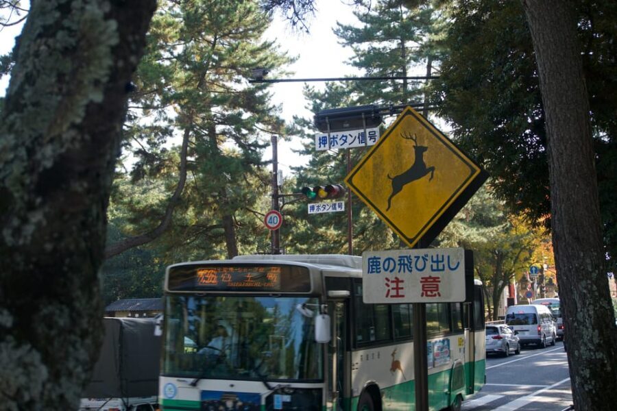 Nara Heritage Walkabout from Nara Park to Todaji-ji temple - FAQ