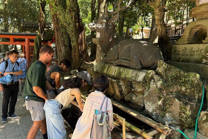Nara Highlight Walking Tour with Furoshiki Experience with Lunch - Naramachi’s Nigiwai-no-Ie house: a calmer end to the day