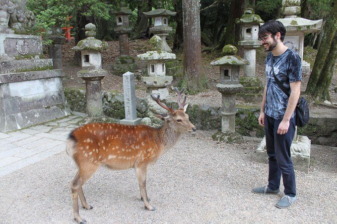 Nara - Highlights Bike Tour - Why This Nara Bike Tour Feels Like the Right Size