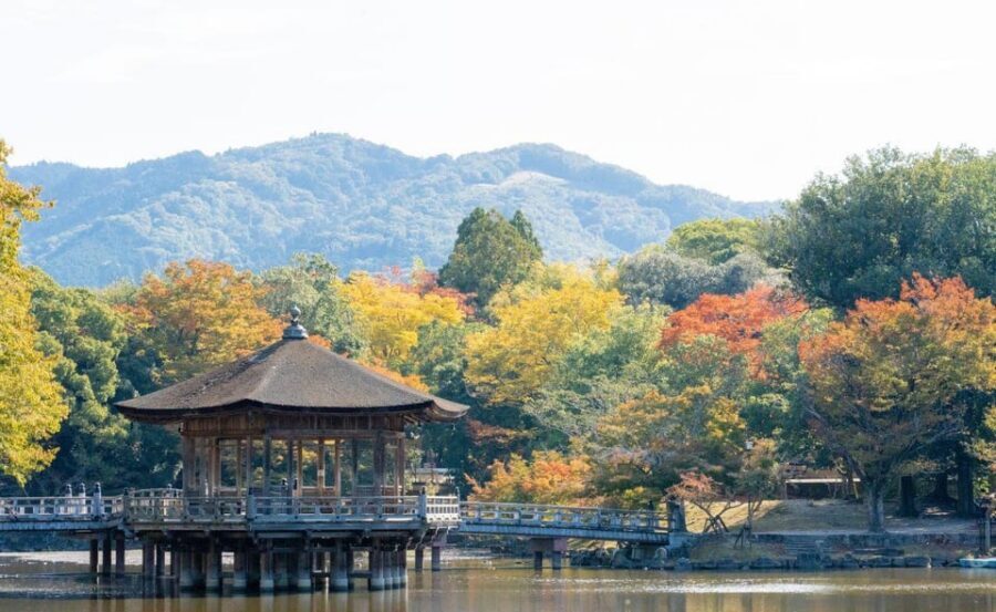 Nara: Private City Tour With A Local Guide - A private Nara day works best when you want meaning, not just photos