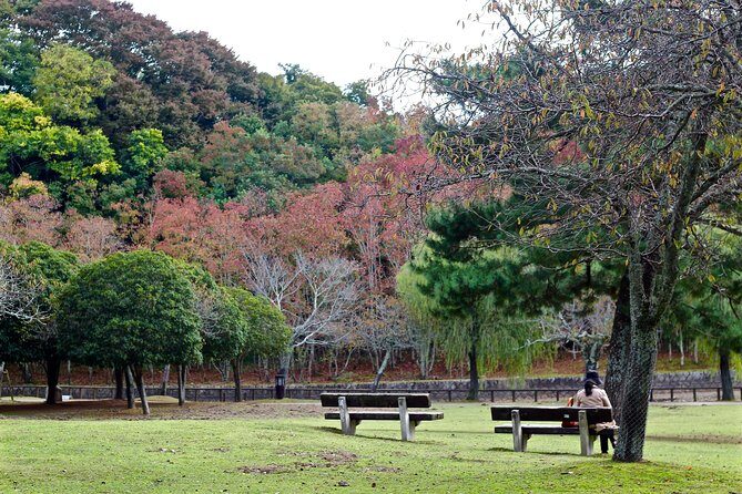 Nara Private Customizable Half Day Tour - Todai-ji and Nara Park-style stops: the big-name hits, paced properly